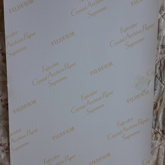 Mary Collinson 8" x 10" Autographed Signed Photo Playboy Twins of Evil - Picture 5 of 7